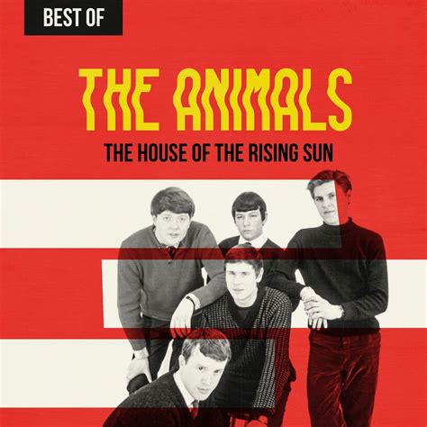 animals the house of the rising